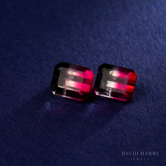 2.25ct Pair Pamir Watermelon Tourmaline