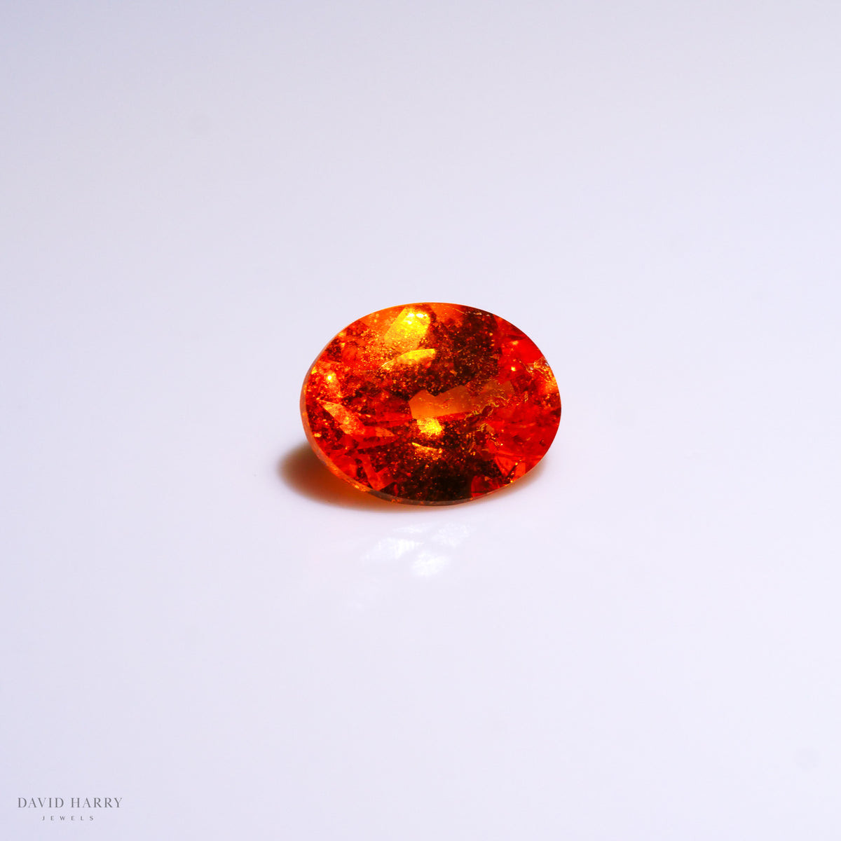 SPE007