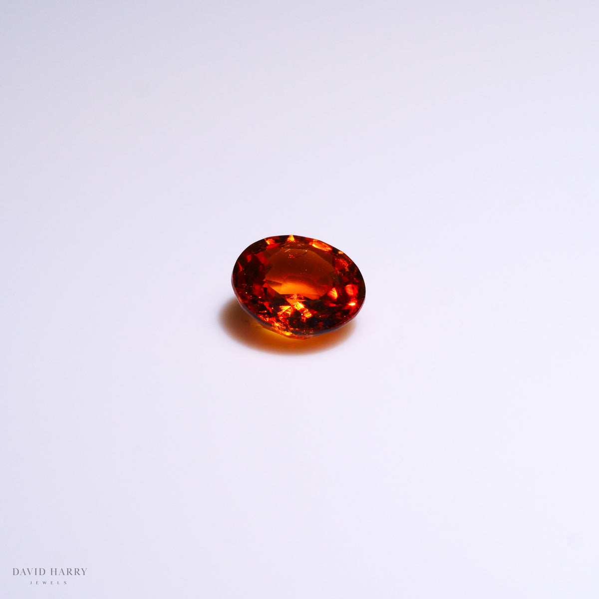 SPE010