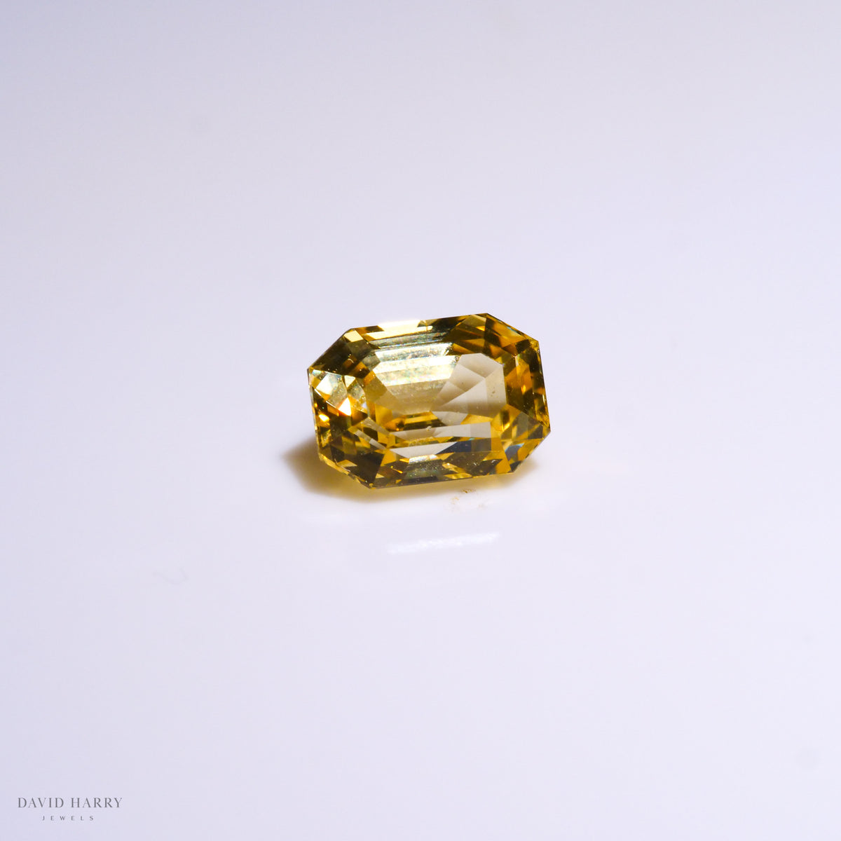 YSA009