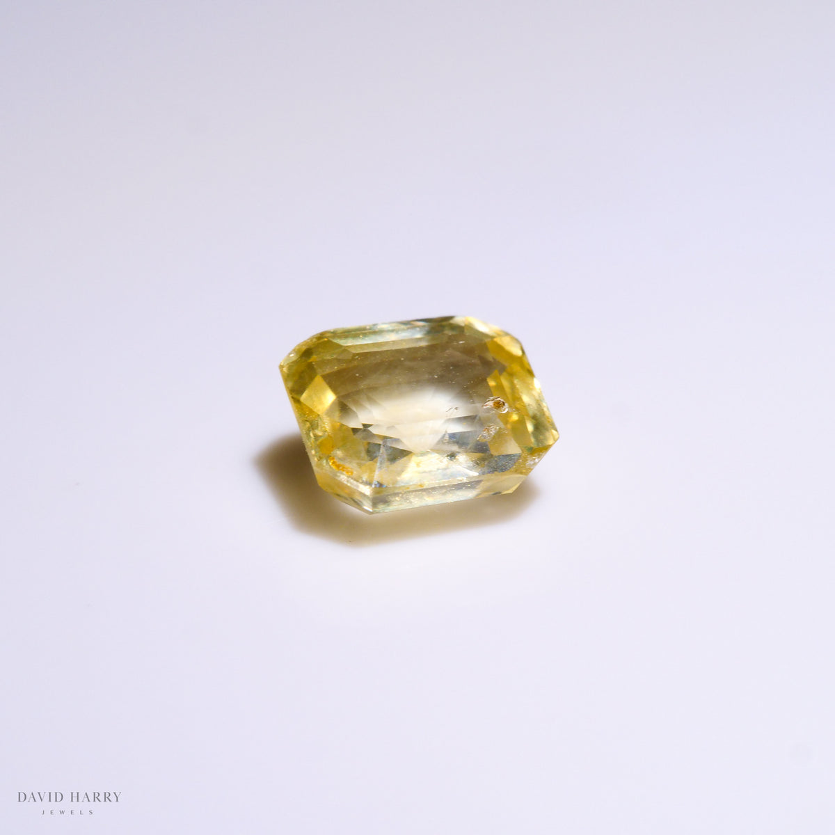 YSA010