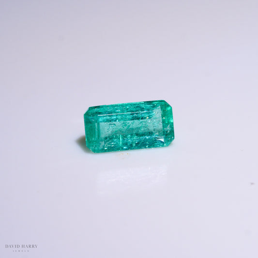 CEM001