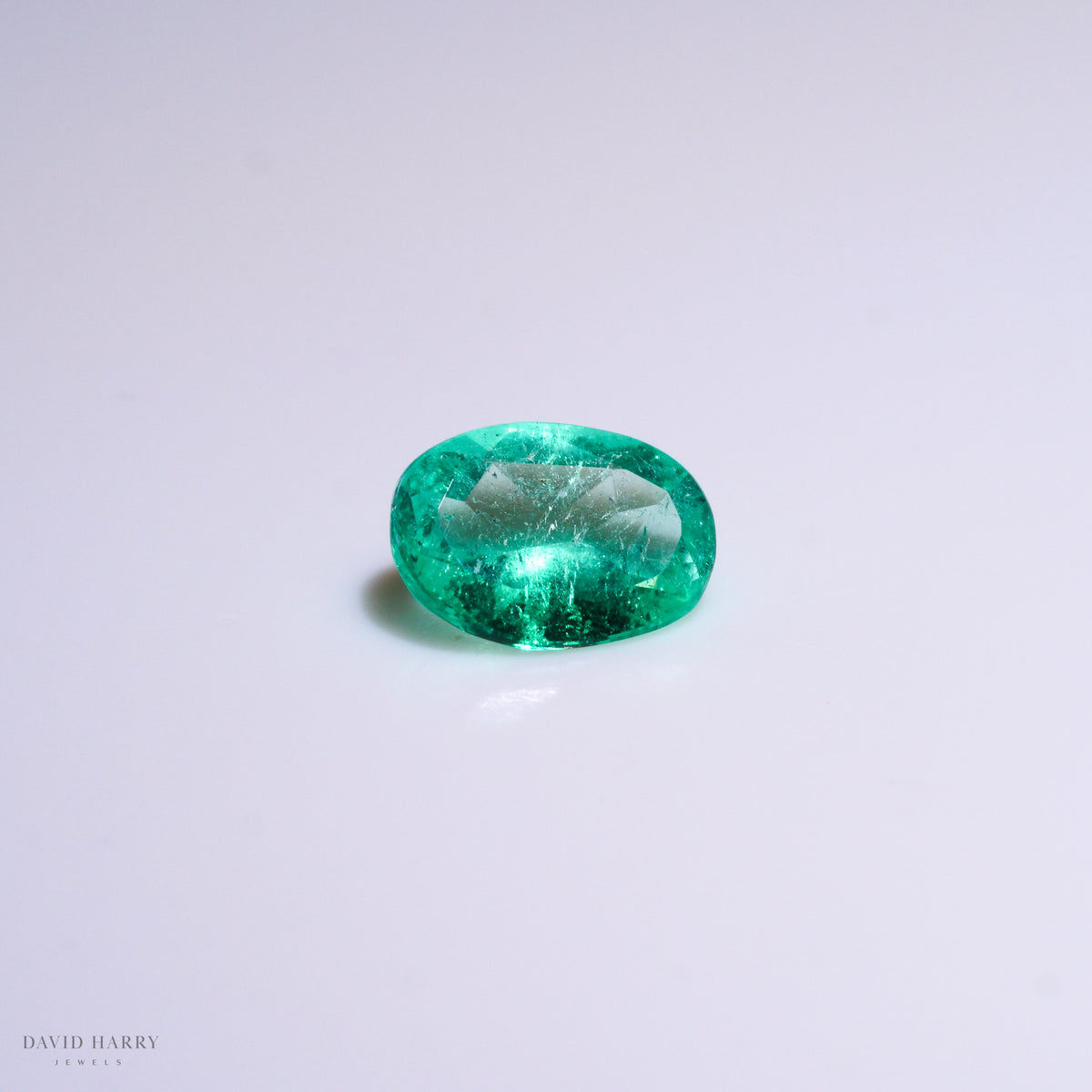 CEM005
