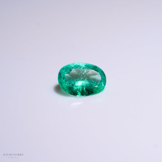 CEM005