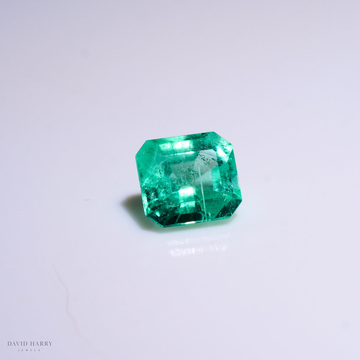 CEM006