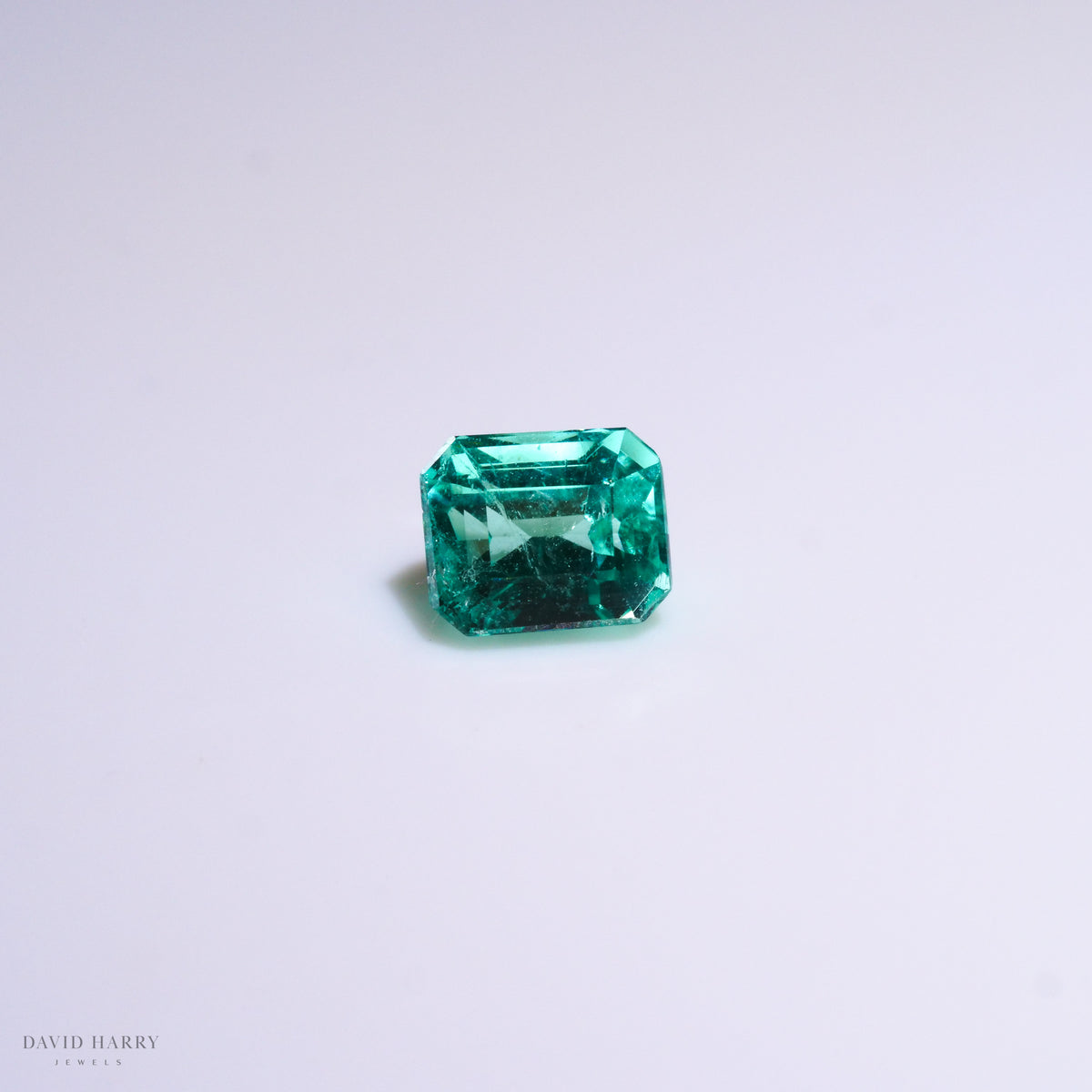 CEM010