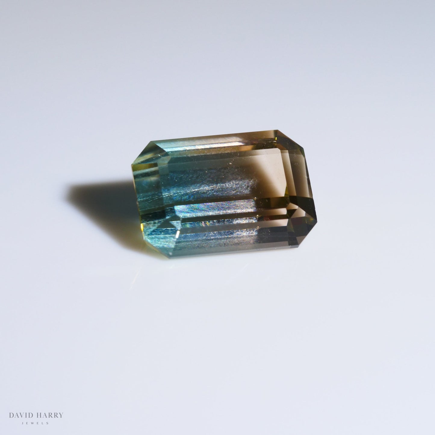 4.95ct Pamir Watermelon Tourmaline