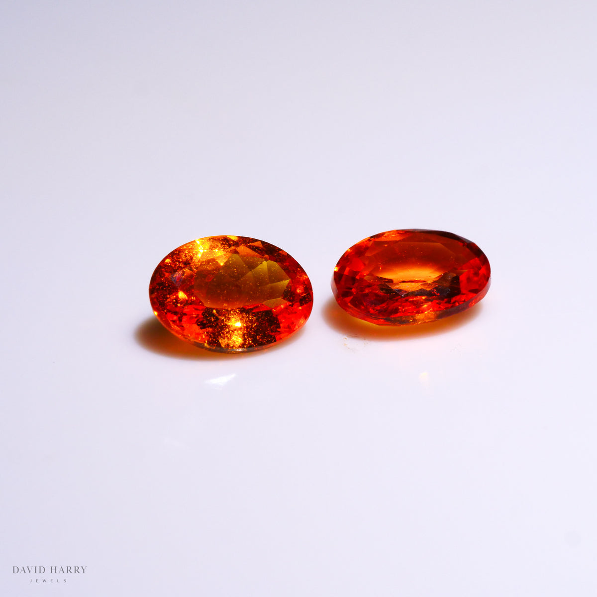 SPE003