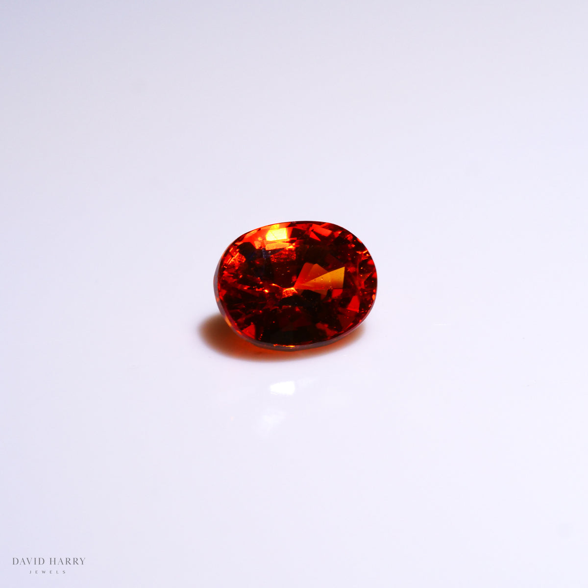 SPE005