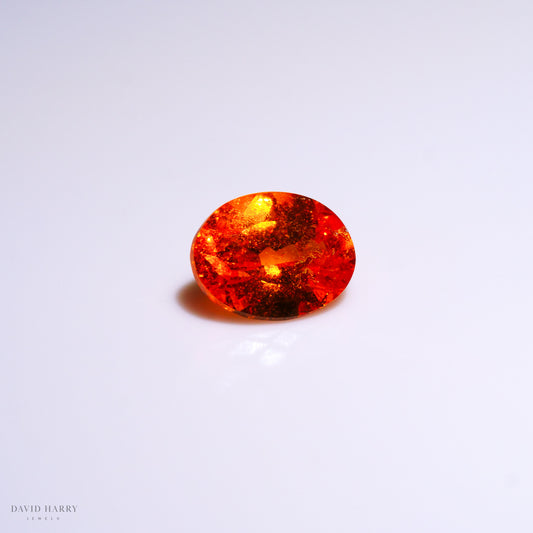 SPE007