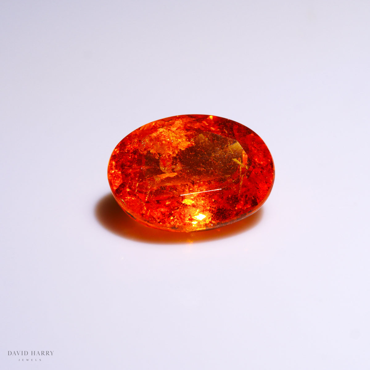 SPE009