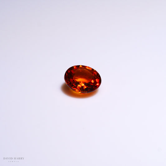 SPE010