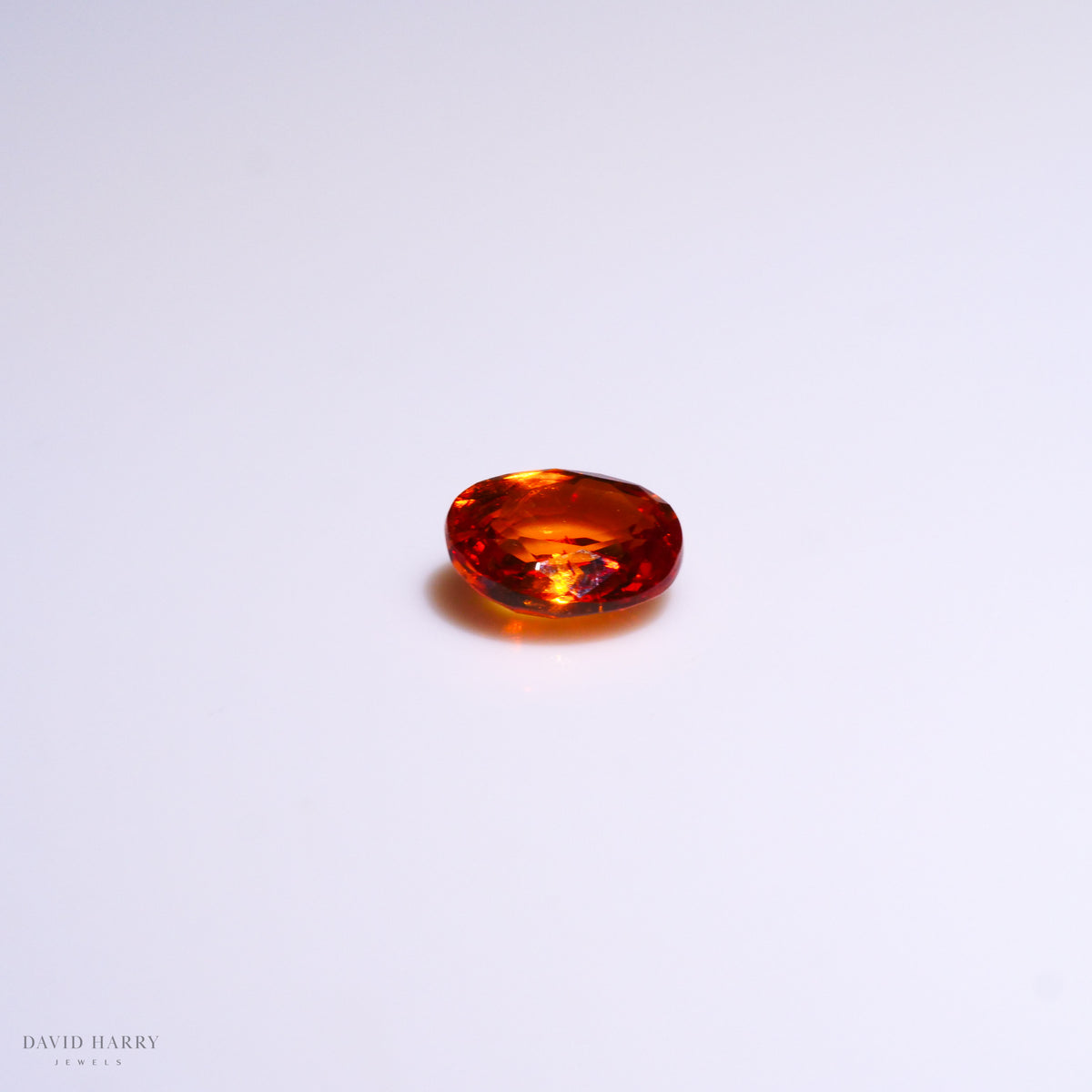 SPE013