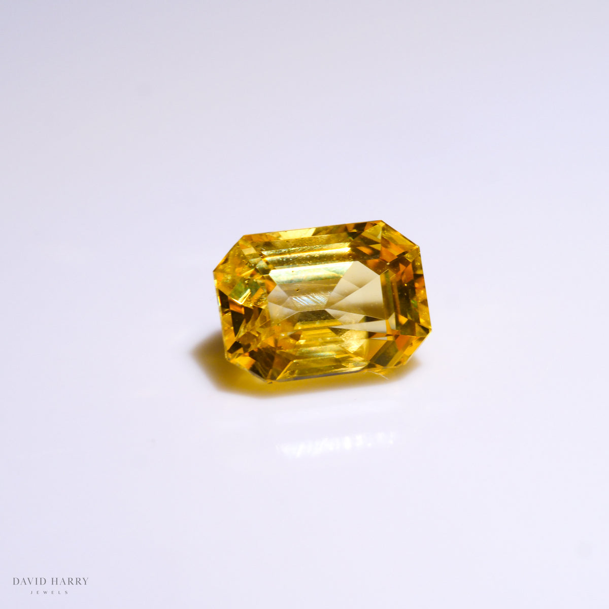 YSA001