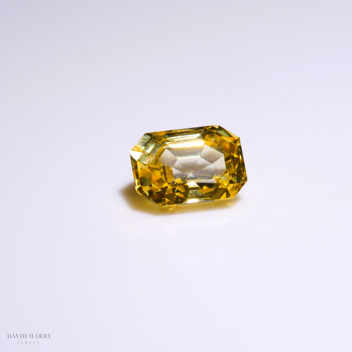 YSA004