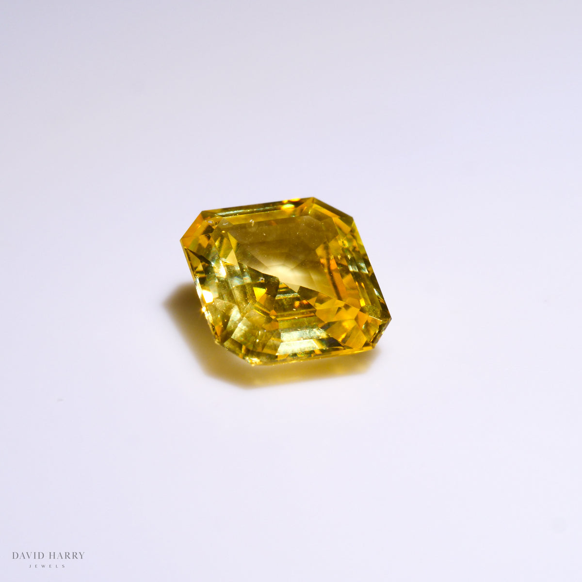 YSA005