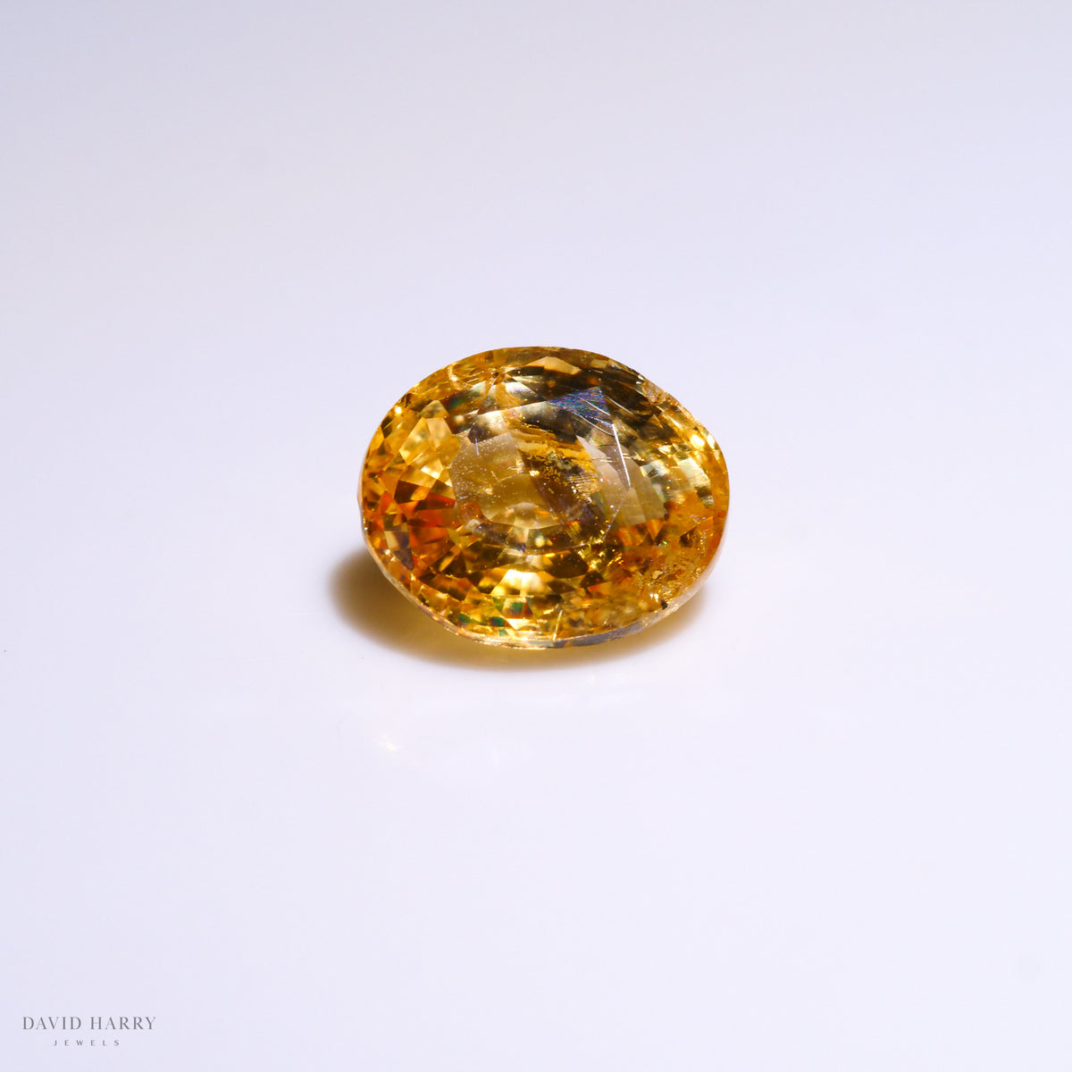 YSA018